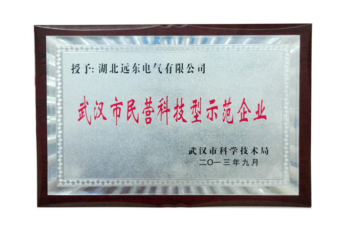 武漢市民營(yíng)科技型示范企業(yè)